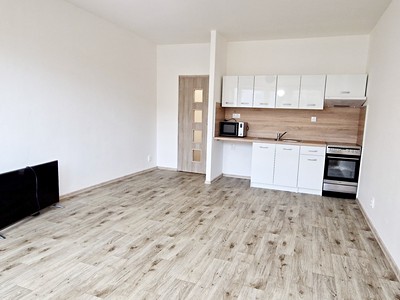 Pronájem bytu 1+kk 30 m² (Jednopodlažní)