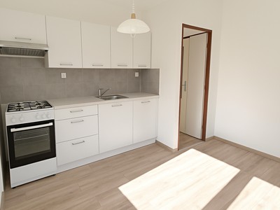 Pronájem bytu 1+1 35 m² (Jednopodlažní)