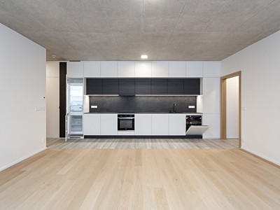 Pronájem bytu 3+kk 68 m² (Jednopodlažní)