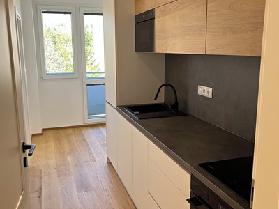 Pronájem bytu 3+1 96 m²