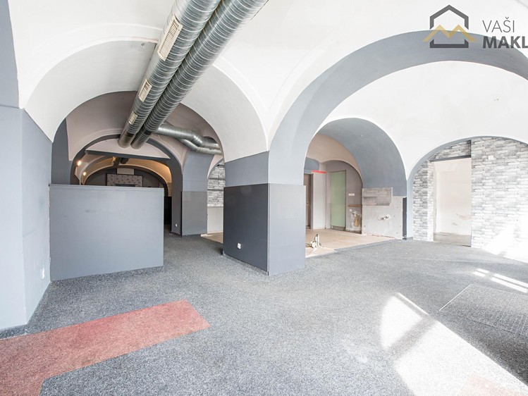 Будинок на продаж, 525 м² (4 з 13)