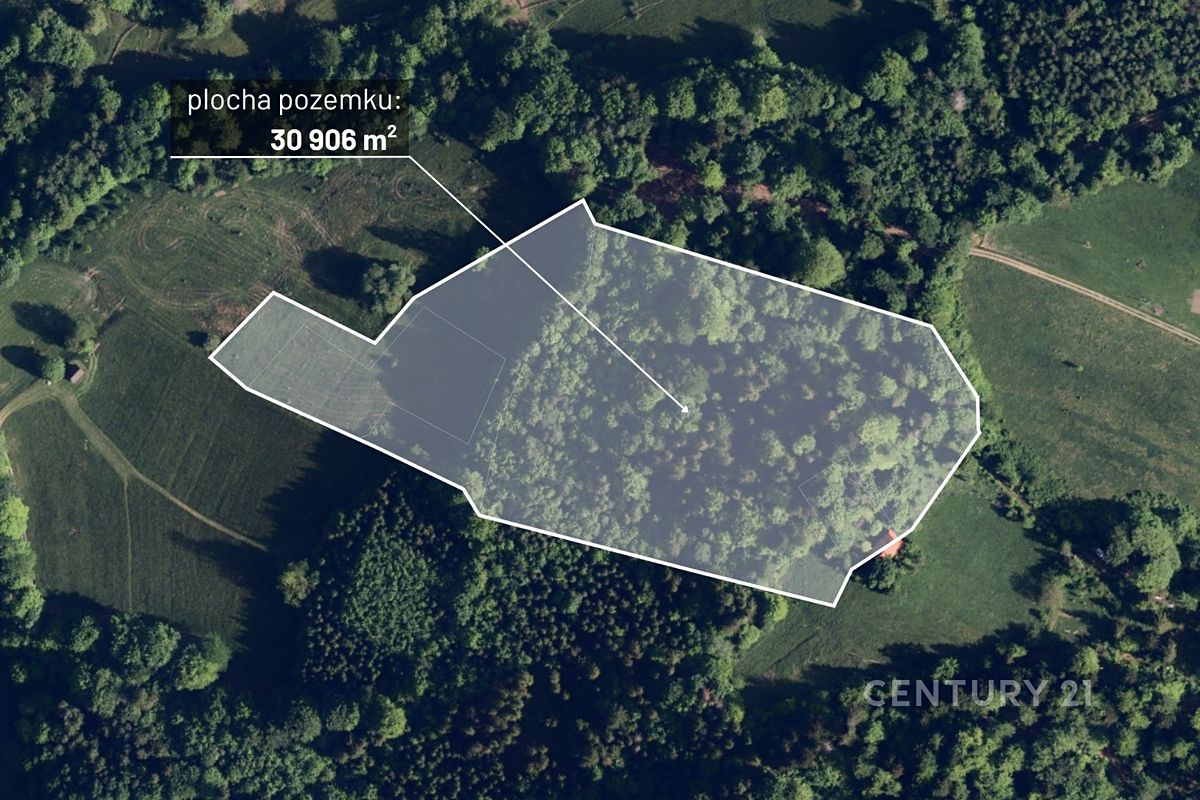 Prodej lesa 30906 m²