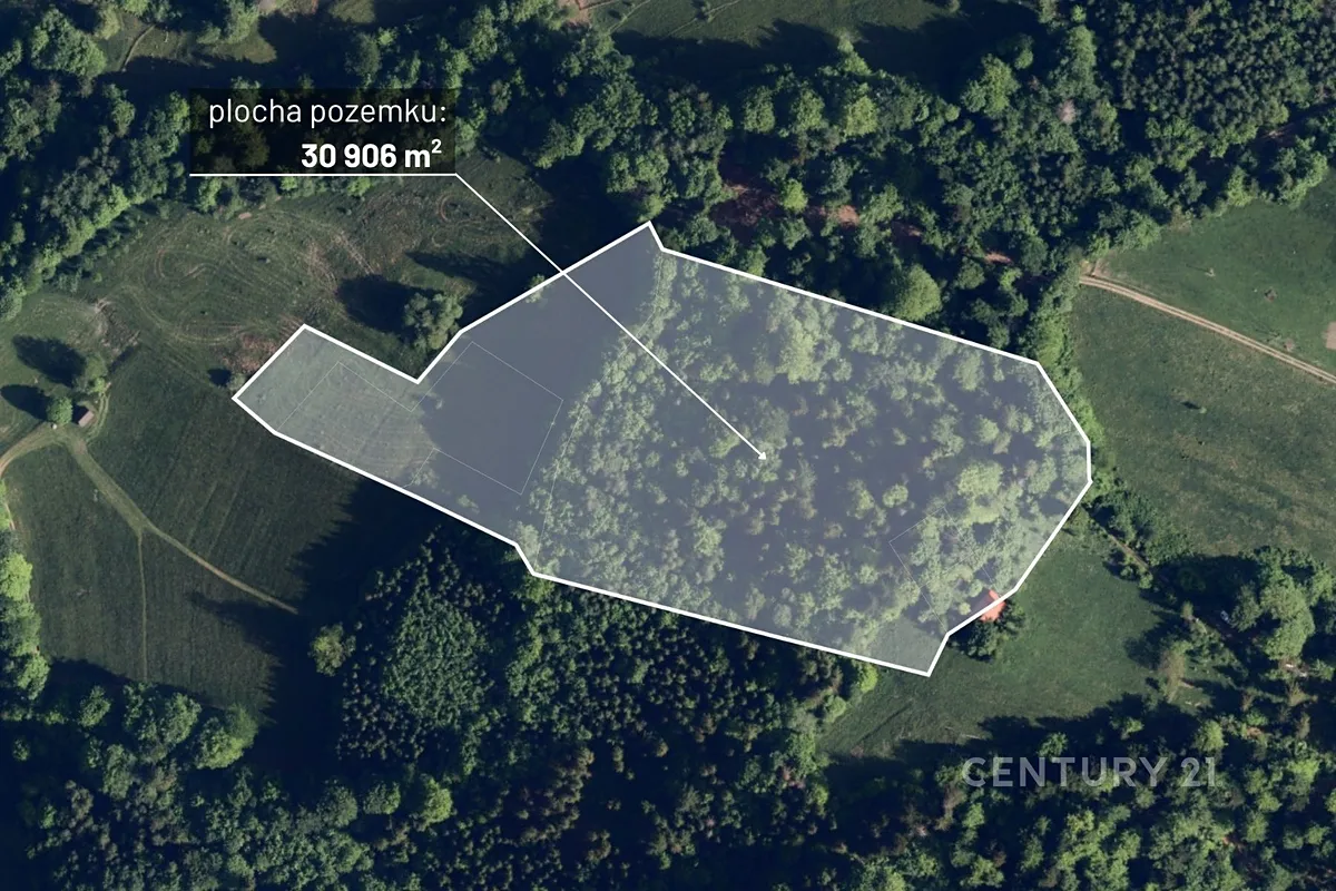 Prodej lesa 30906 m²