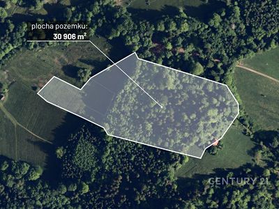 Prodej lesa 30906 m²
