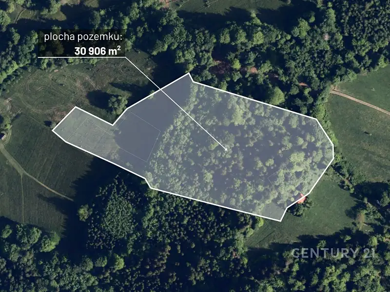 Prodej lesa 30906 m², Nýdek – náhled fotky 1