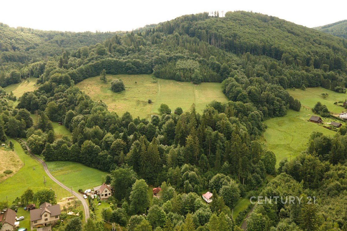 Prodej lesa 30906 m² – fotografie 3