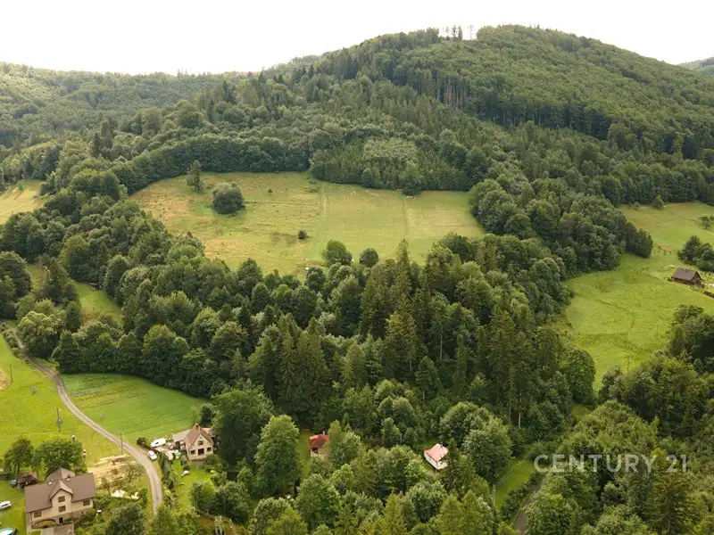 Prodej lesa 30906 m², Nýdek – náhled fotky 3