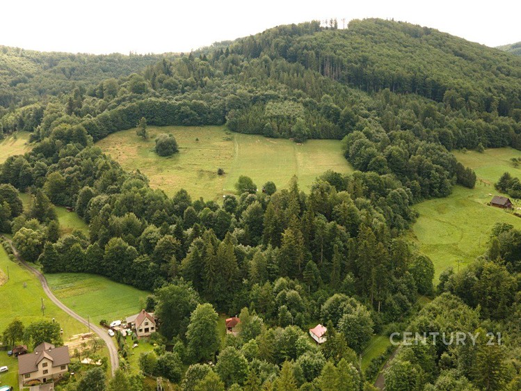 Grundstück zum Kauf, 21.679 m² (6 von 6)