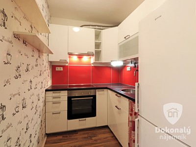 Pronájem bytu 1+1 36 m²