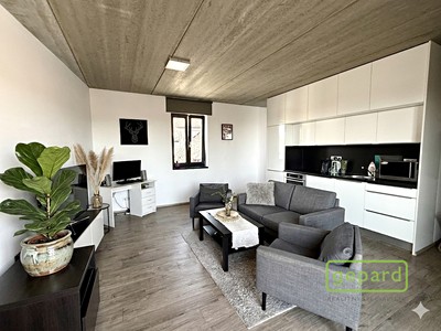 Pronájem bytu 2+kk 88 m²