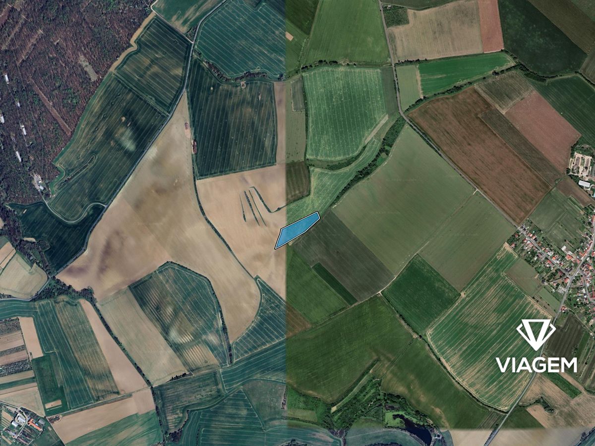 Prodej pole 15196 m² – fotografie 3
