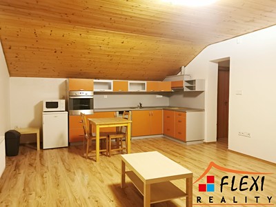 Pronájem bytu 1+kk 51 m²