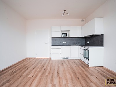 Pronájem bytu 1+kk 30 m²