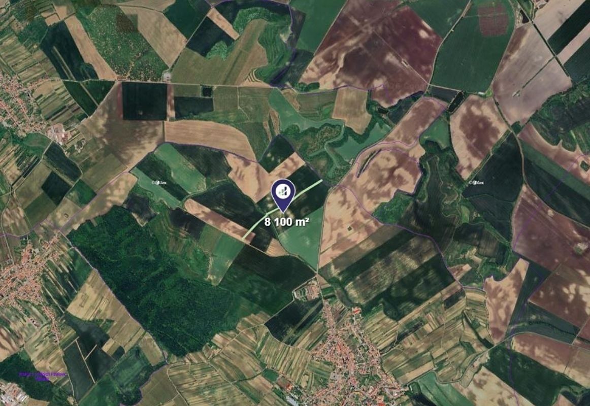 Prodej pole 8100 m² – fotografie 2
