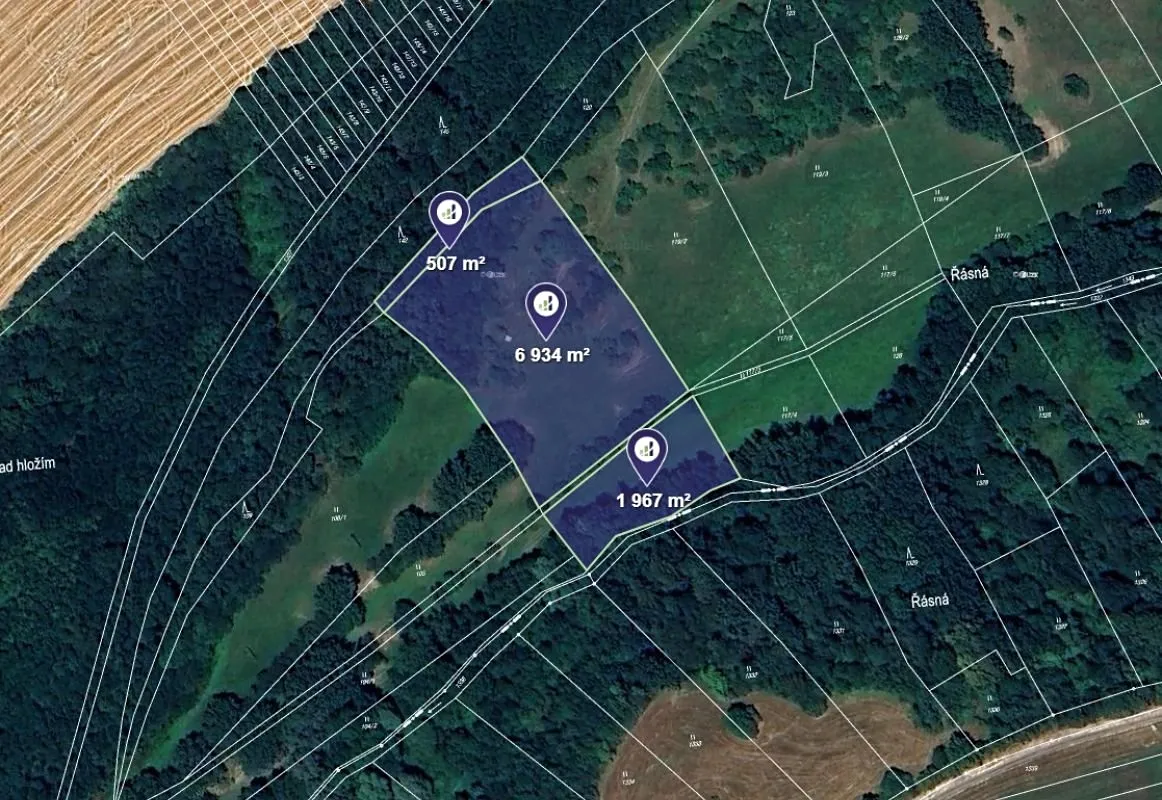 Prodej podílu 1/4 louky 2866 m²