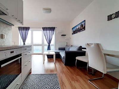 Pronájem bytu 1+kk 43 m²