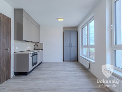Pronájem bytu 1+kk 26 m²