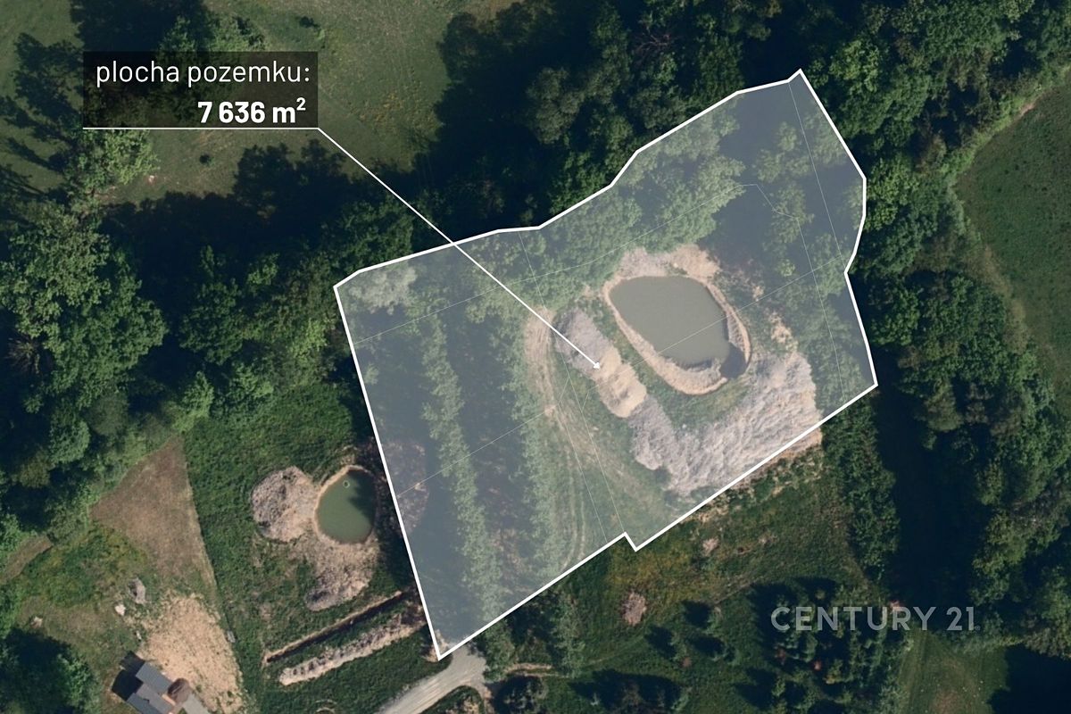 Prodej louky 7636 m²