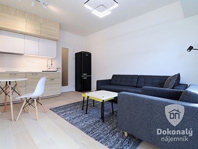 Pronájem bytu 1+kk 28 m²