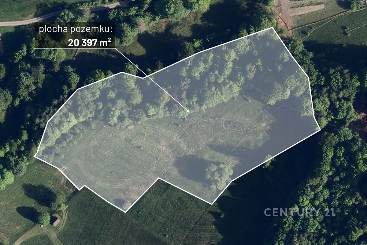 Prodej lesa 20397 m²