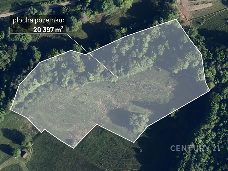 Prodej lesa 20397 m², Nýdek – náhled fotky 1