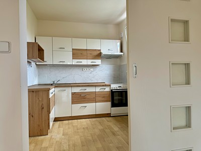 Pronájem bytu 2+1 54 m² (Jednopodlažní)