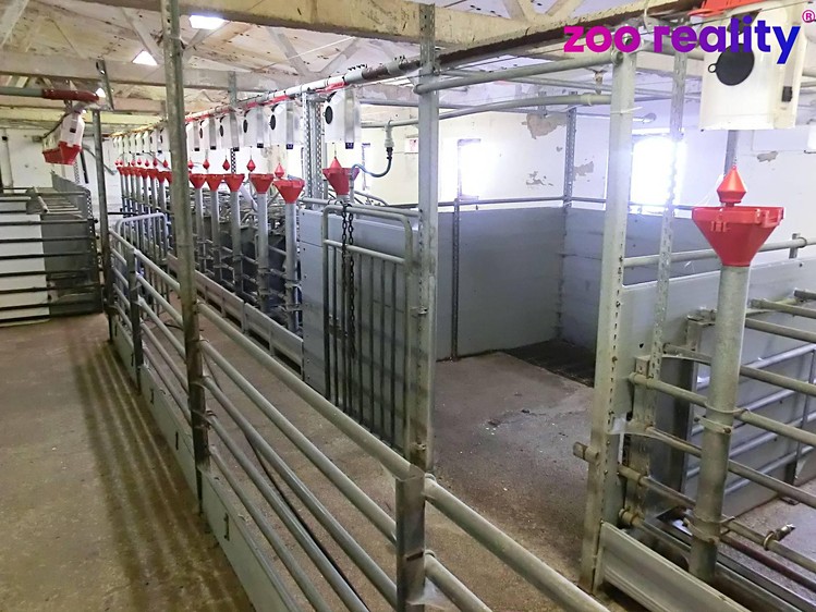Gewerbefläche zum Kauf, 18.720 m² (18 von 28)