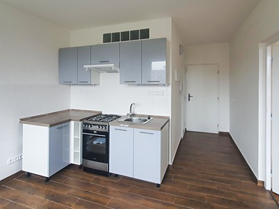 Pronájem bytu 1+1 36 m²