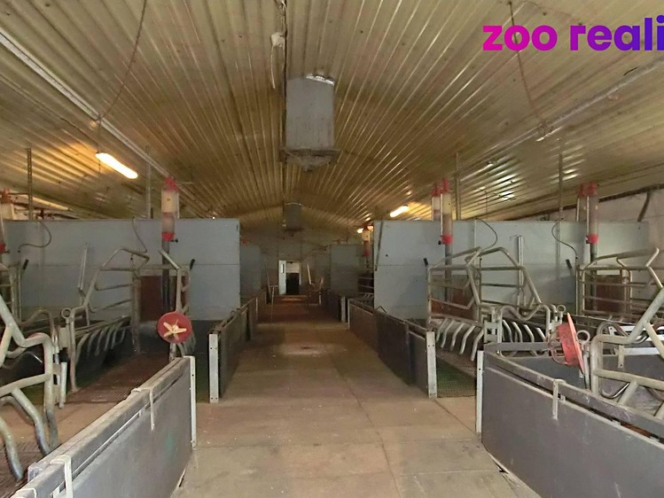 Gewerbefläche zum Kauf, 18.720 m² (9 von 28)