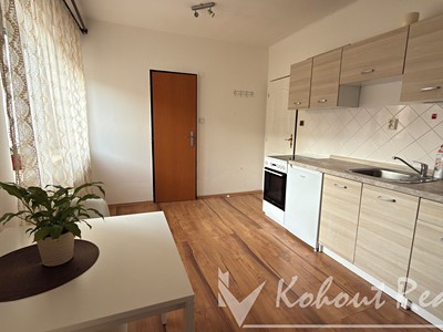 Pronájem bytu 1+1 40 m²