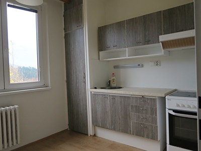 Pronájem bytu 1+1 42 m² (Jednopodlažní)