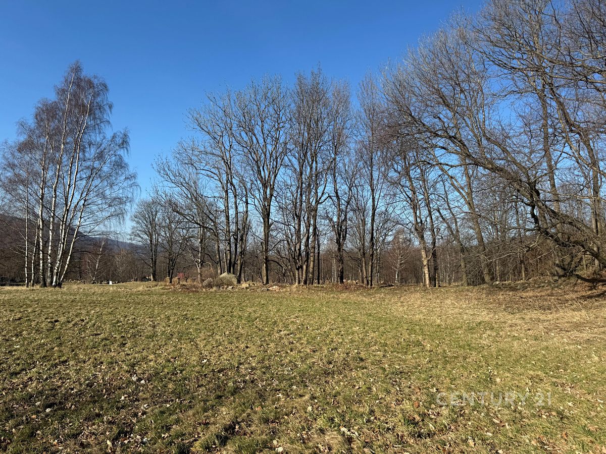Prodej pozemku 3194 m² – fotografie 3