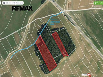 Prodej  lesa 21 595 m²