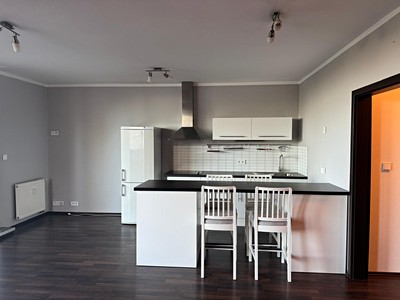 Pronájem bytu 2+kk 50 m² (Jednopodlažní)
