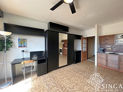 Pronájem bytu 1+kk 29 m²