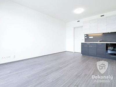 Pronájem bytu 1+kk 30 m²