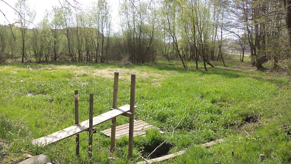 Prodej pole 8388 m², Mezno – fotka 1 z 3