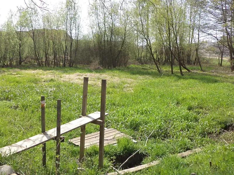 Prodej pole 8388 m², Mezno – náhled fotky 1