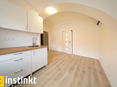 Pronájem bytu 1+1 50 m²