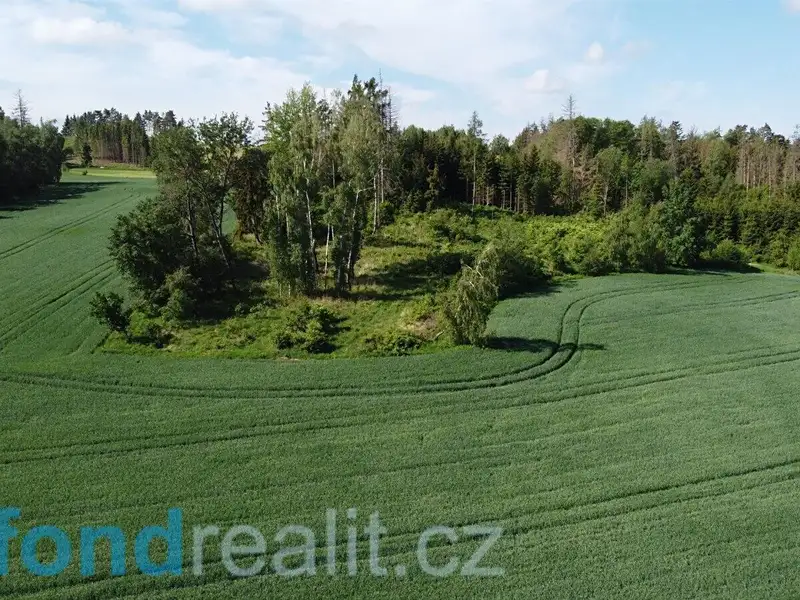 Prodej pozemku 8600 m², Kundratice – náhled fotky 1