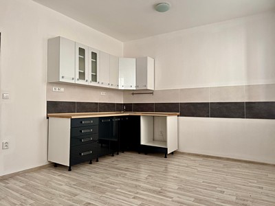 Pronájem bytu 1+1 48 m²
