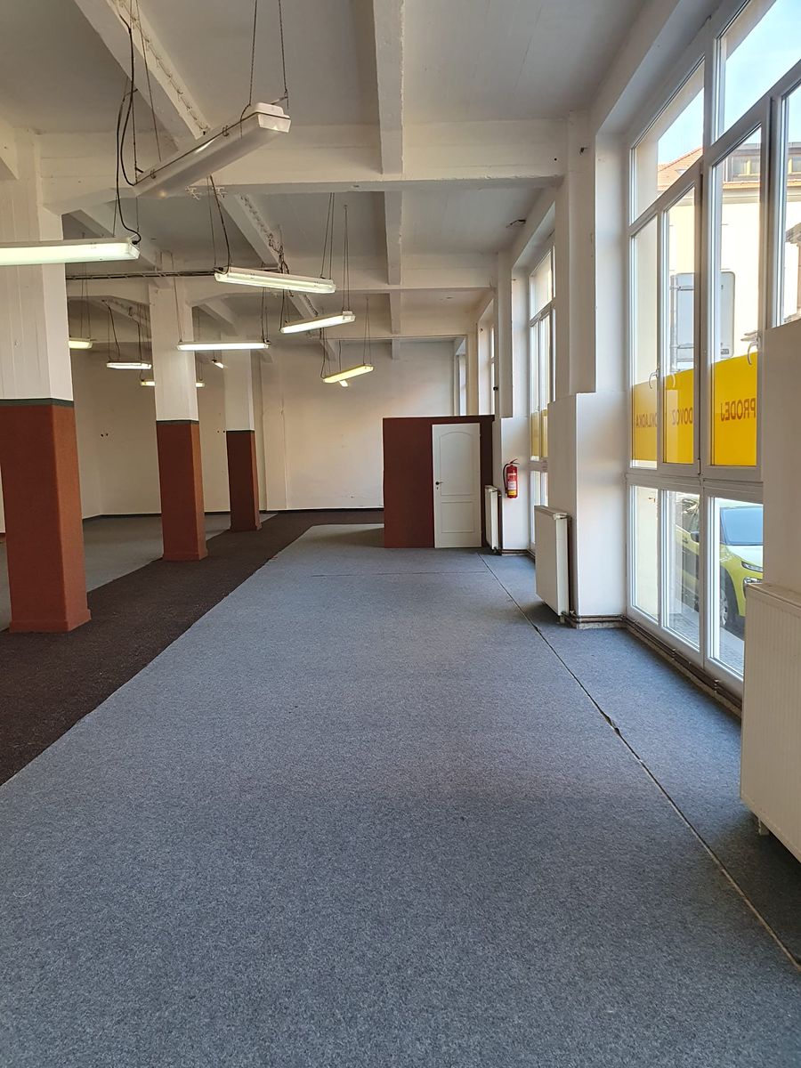 Pronájem obchodního prostoru 270 m² – fotografie 3
