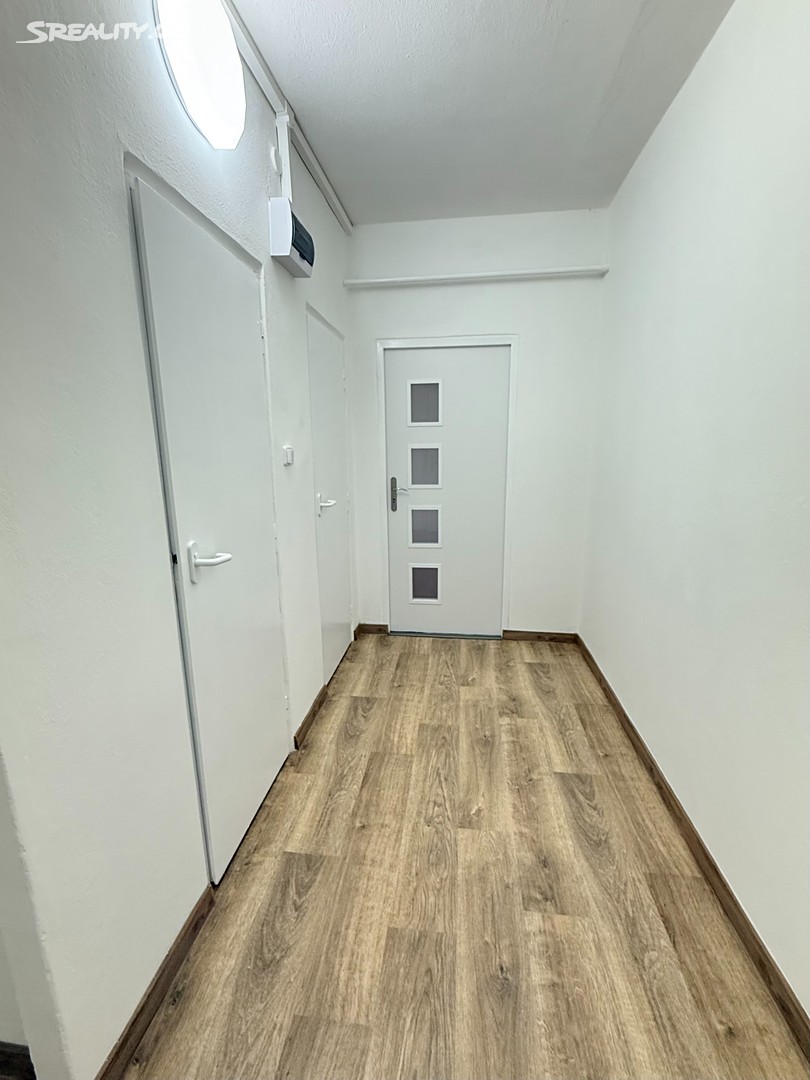 Byt 1+1 po rekonstrukci - náhled 14