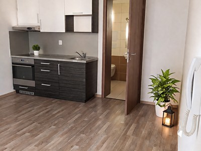 Pronájem bytu 1+kk 23 m² (Jednopodlažní)