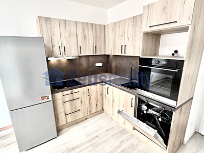 Pronájem bytu 1+1 50 m²