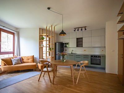 Pronájem bytu 3+kk 60 m² (Jednopodlažní)