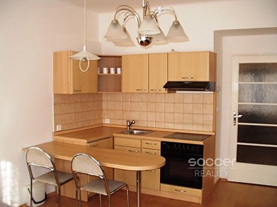 Pronájem bytu 1+1 48 m²