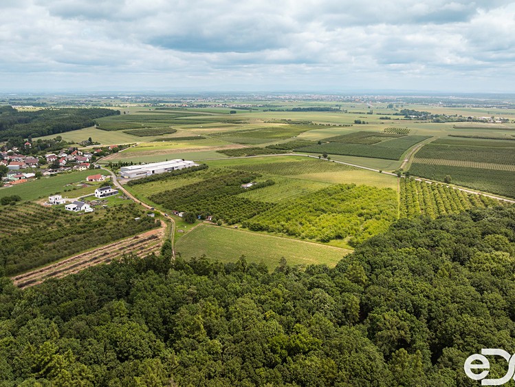 Grundstück zum Kauf, 11.163 m² (6 von 16)