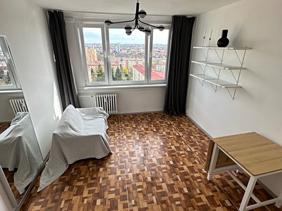 Pronájem bytu 1+kk 25 m² (Jednopodlažní)