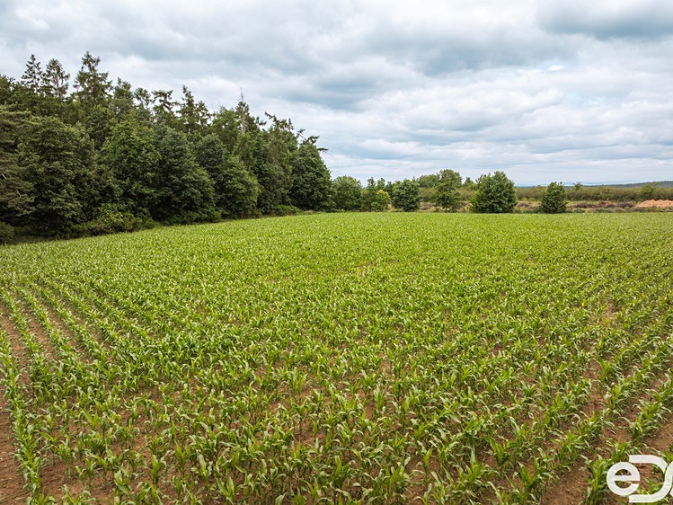 Grundstück zum Kauf, 11.163 m² (15 von 16)